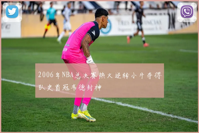 2006年NBA总决赛热火逆转小牛夺得队史首冠韦德封神