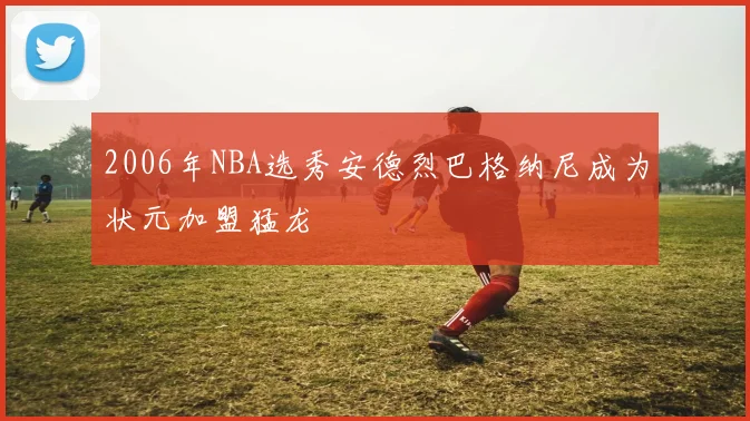 2006年NBA选秀安德烈巴格纳尼成为状元加盟猛龙