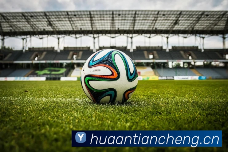 滚球官网appAPP 封面图